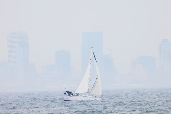 queenscup2024tweiler  
