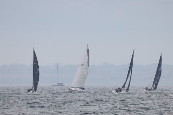 queenscup2024tweiler  