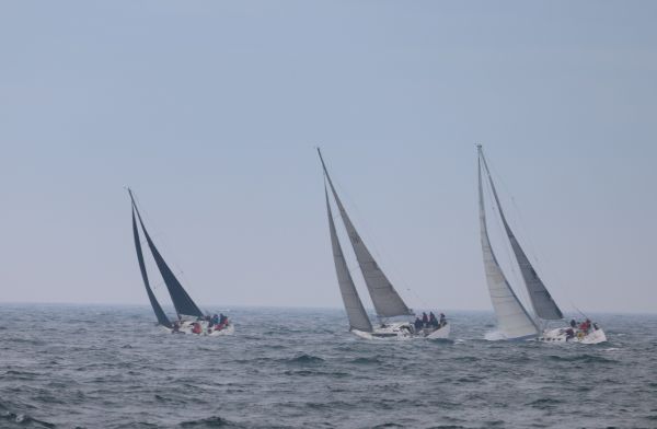 queenscup2024tweiler  