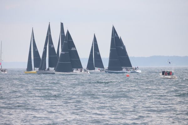queenscup2024tweiler  